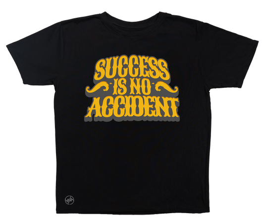 Success is no Accident