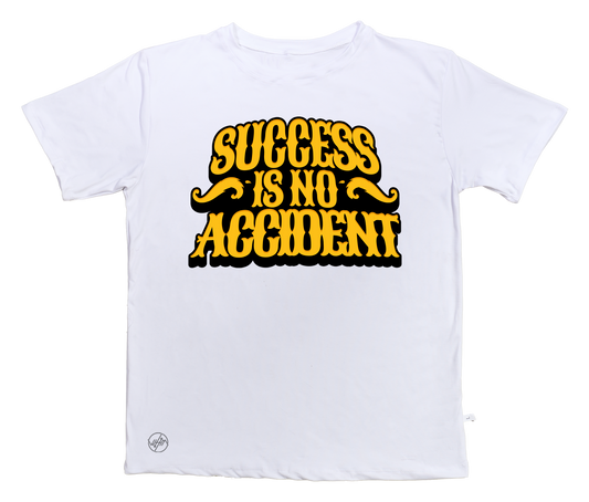Success is no Accident