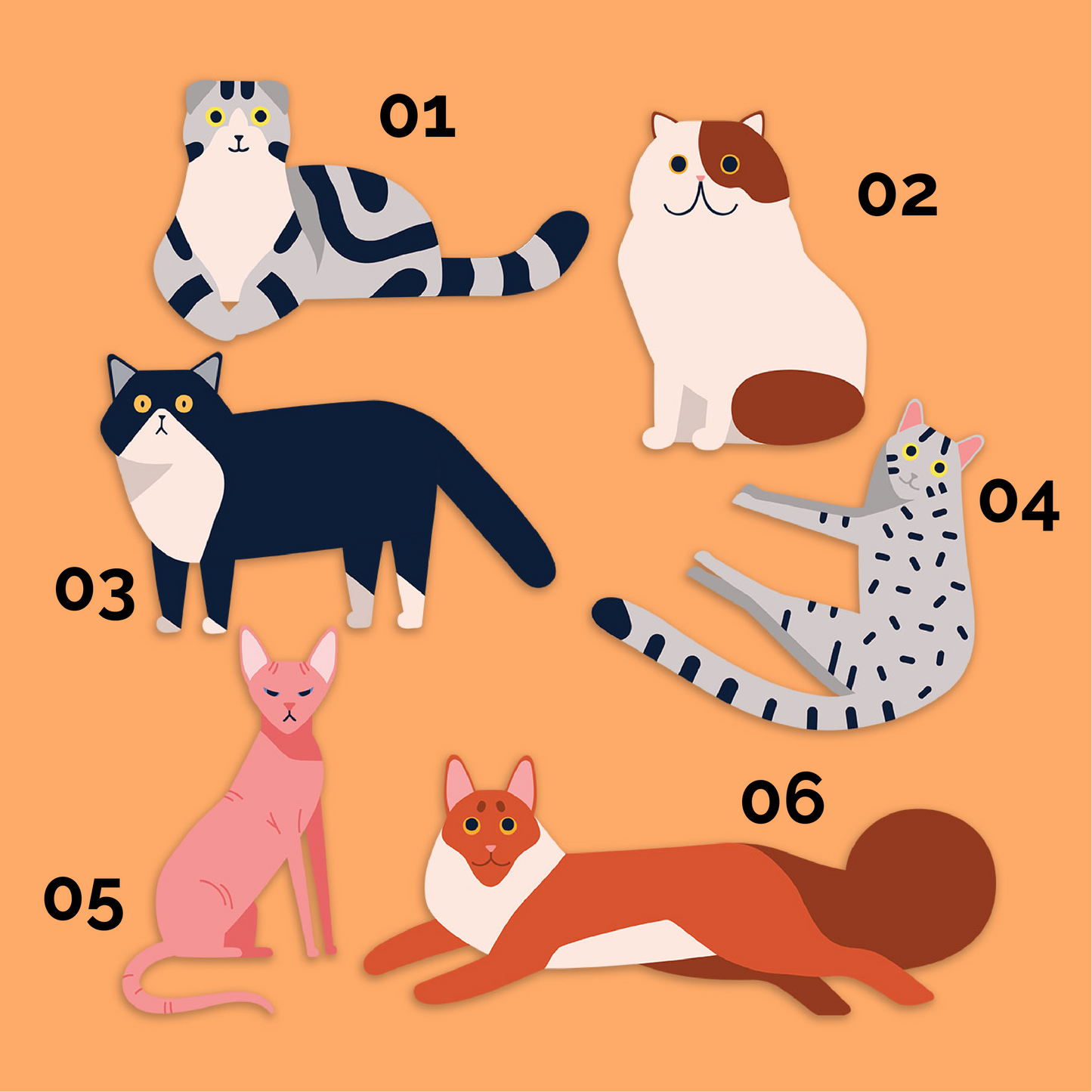 Cats Pack