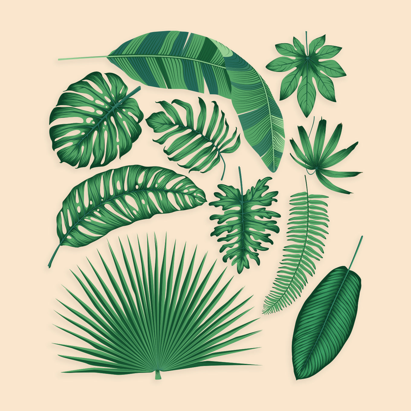 Tropical Leaves Set
