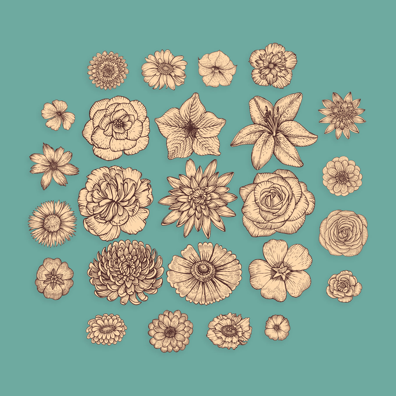 Brown & Cream Flowers