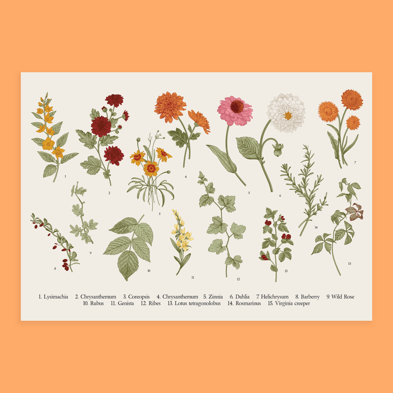 Flora Poster Wall Sticker