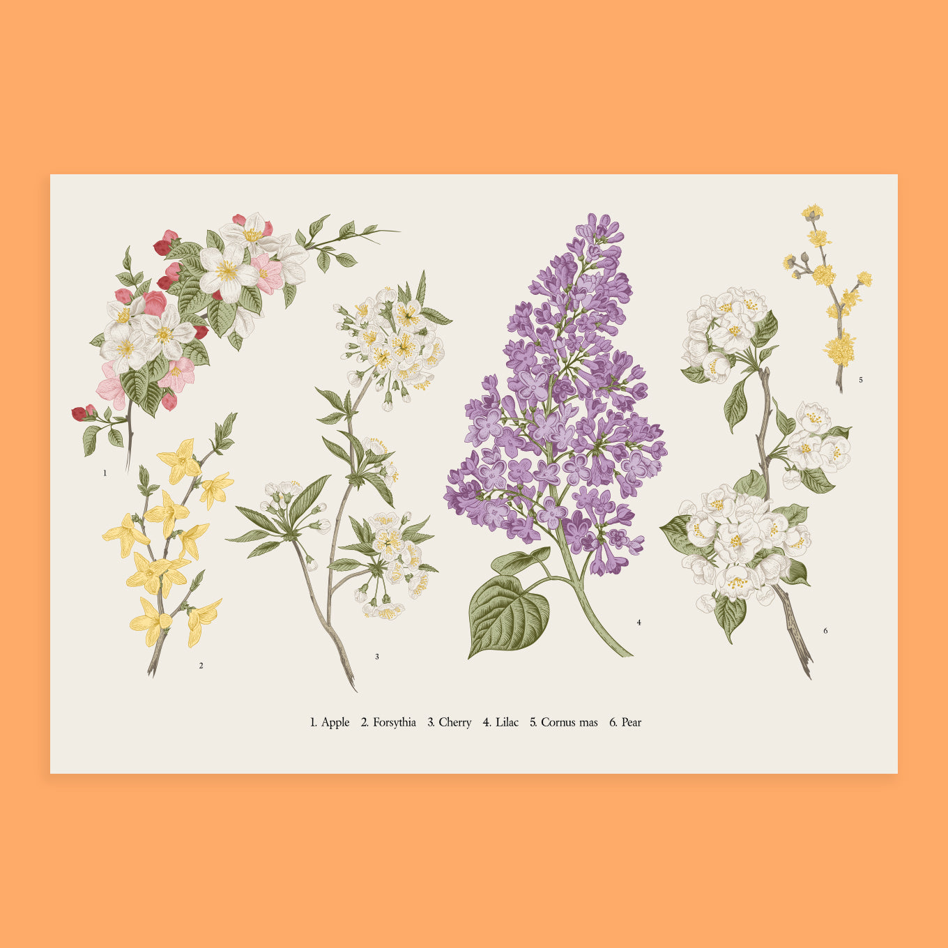 Flora Poster Wall Sticker