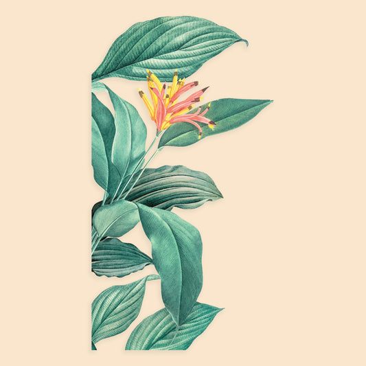 Parrot Heliconia Plant Corner Wall Decal