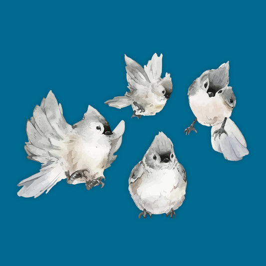 Watercolor Animals Birds