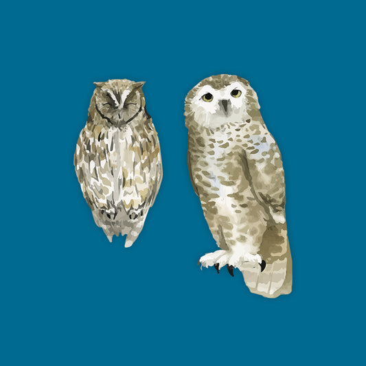Watercolor Animals Owls