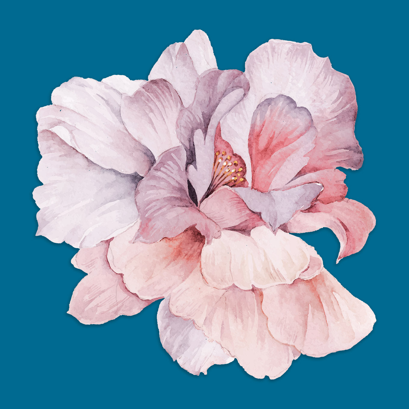 Watercolor Flowers