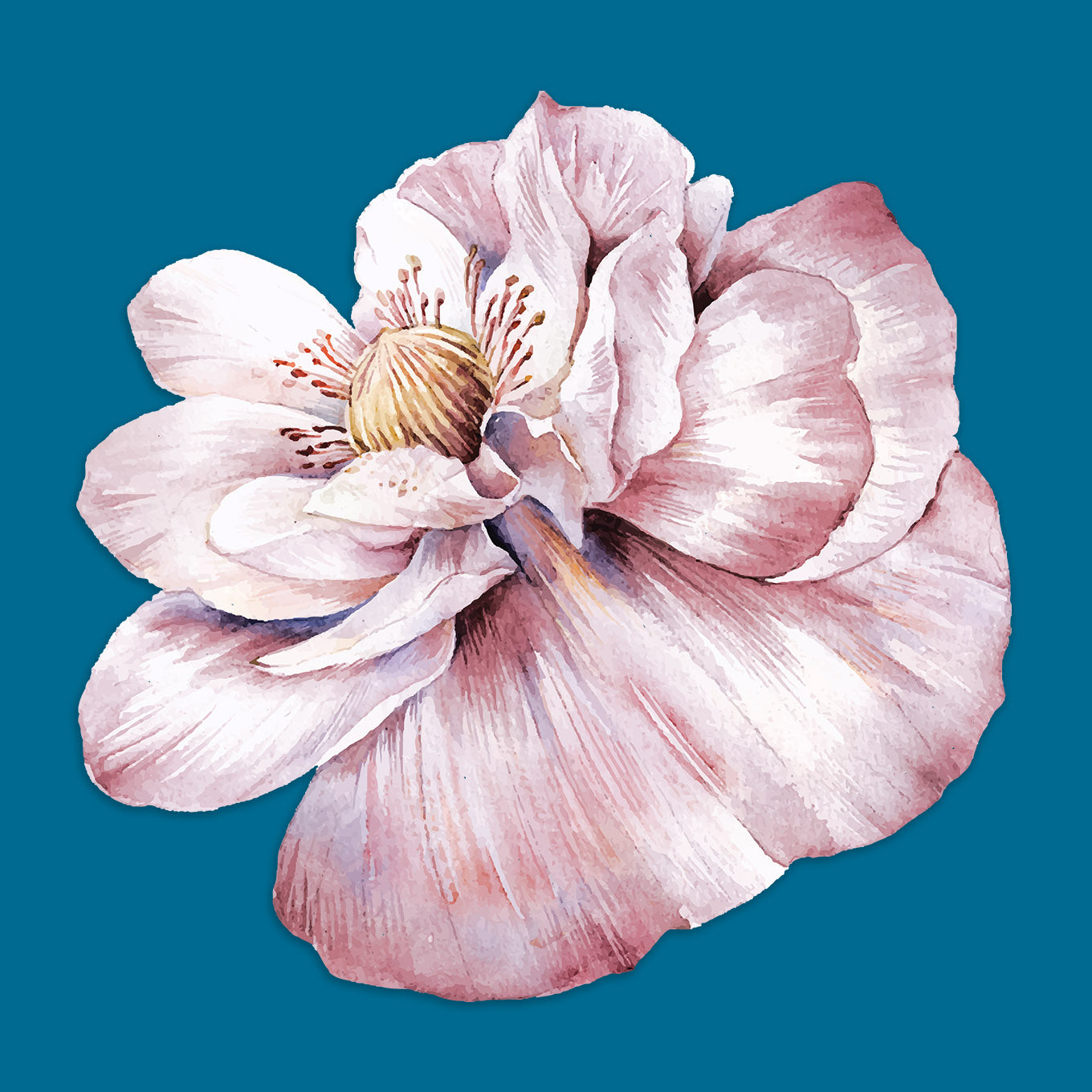 Watercolor Flowers