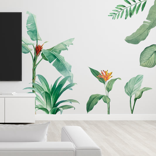 Tropical Plants