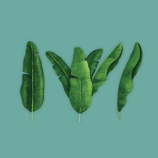 Banana Leaves