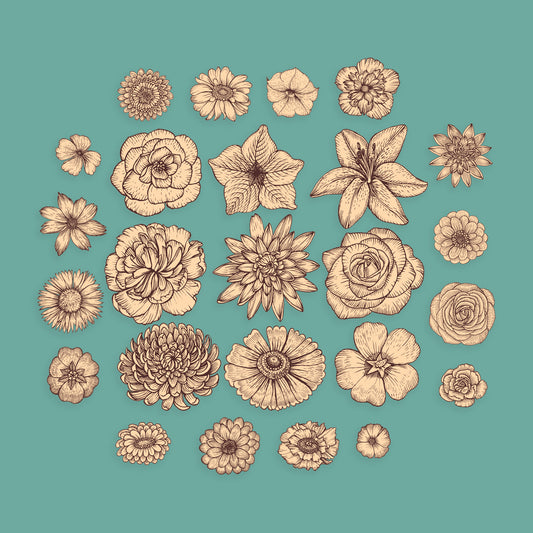 Brown & Cream Flowers