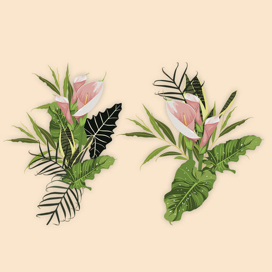 Callalily