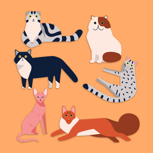 Cats Pack