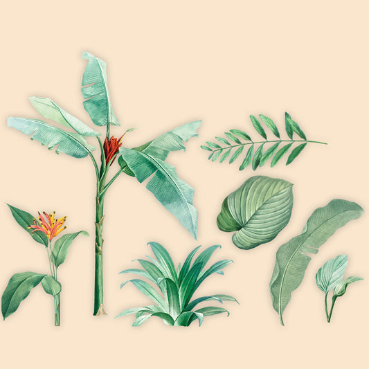 Tropical Plants