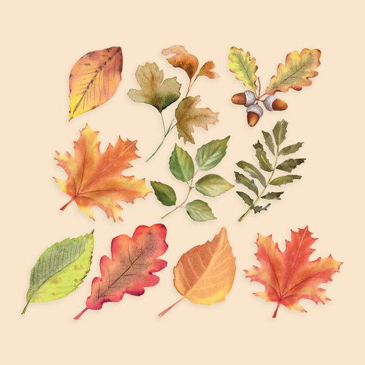Watercolor Autumn Leaves