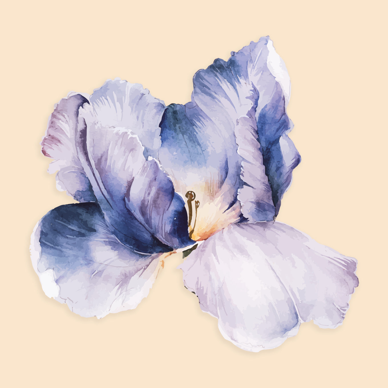 Watercolor Purple Flowers - A