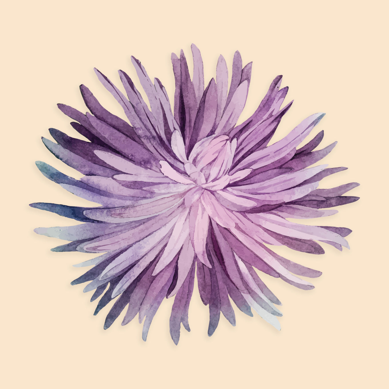 Watercolor Purple Flowers - C
