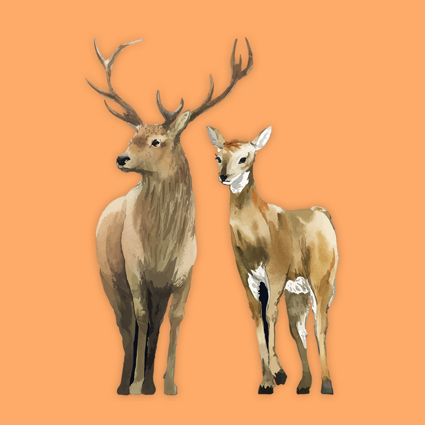 Watercolor Animals Deer