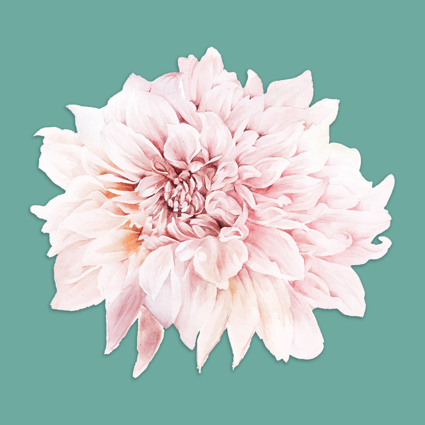 Watercolor Flowers