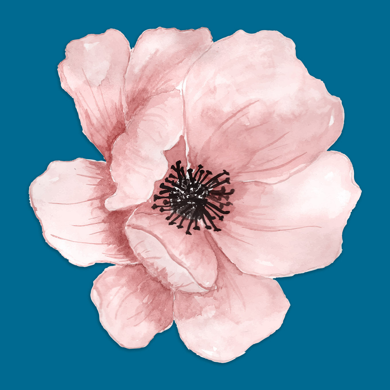 Watercolor Flowers